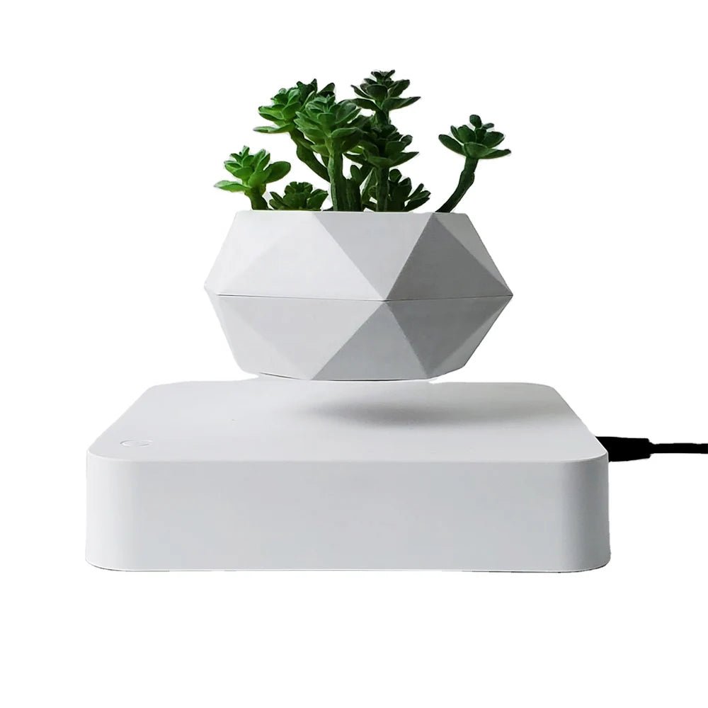 Levitating Magnetic Air Bonsai Pot – Floating Rotating Planter - BuyfromSwiss