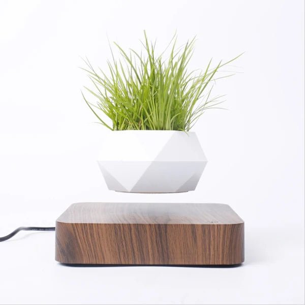 Levitating Magnetic Air Bonsai Pot – Floating Rotating Planter - BuyfromSwiss