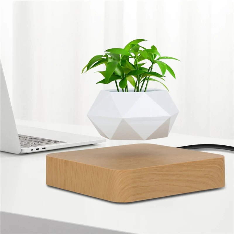 Levitating Magnetic Air Bonsai Pot – Floating Rotating Planter - BuyfromSwiss