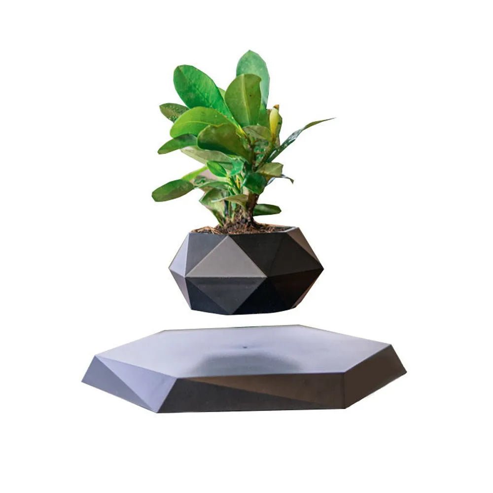 Levitating Magnetic Air Bonsai Pot – Floating Rotating Planter - BuyfromSwiss