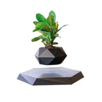 Levitating Magnetic Air Bonsai Pot – Floating Rotating Planter - BuyfromSwiss