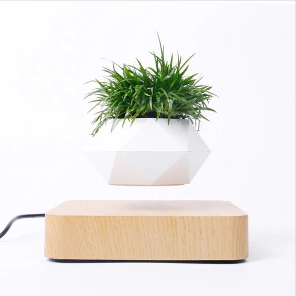 Levitating Magnetic Air Bonsai Pot – Floating Rotating Planter - BuyfromSwiss