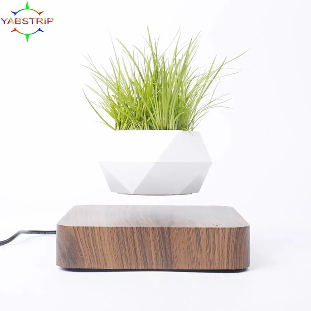 Levitating Magnetic Air Bonsai Pot – Floating Rotating Planter - BuyfromSwiss